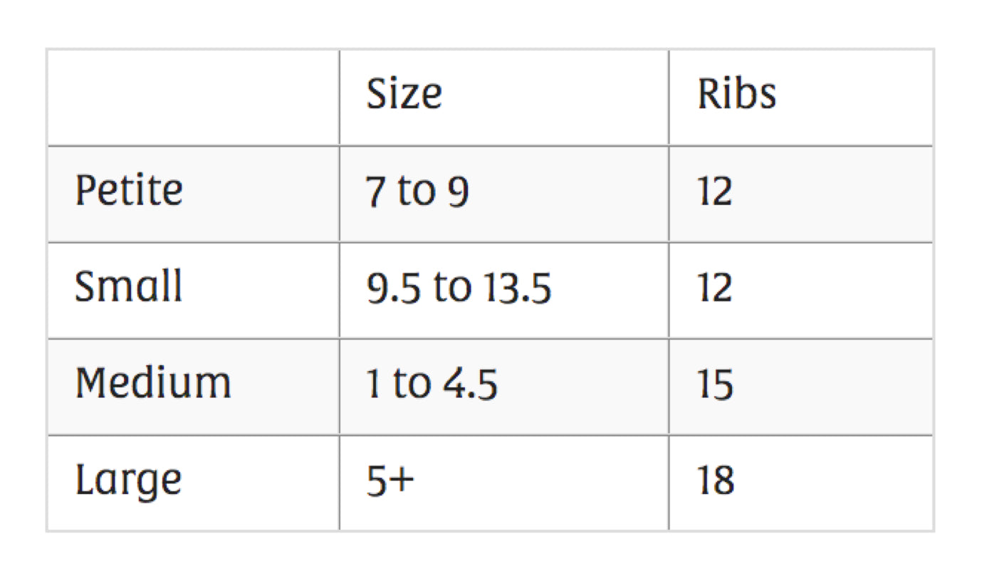 Pacelli Pro Poodle Socks